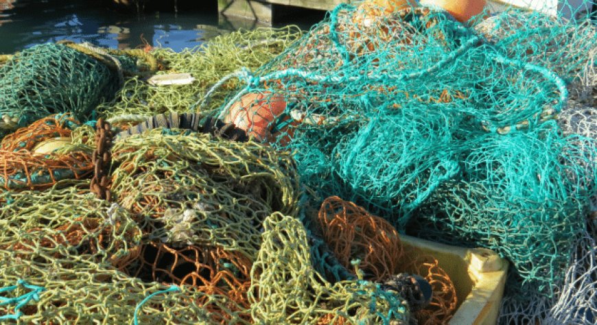 Coldiretti: stop al pesce fresco, scatta il fermo pesca