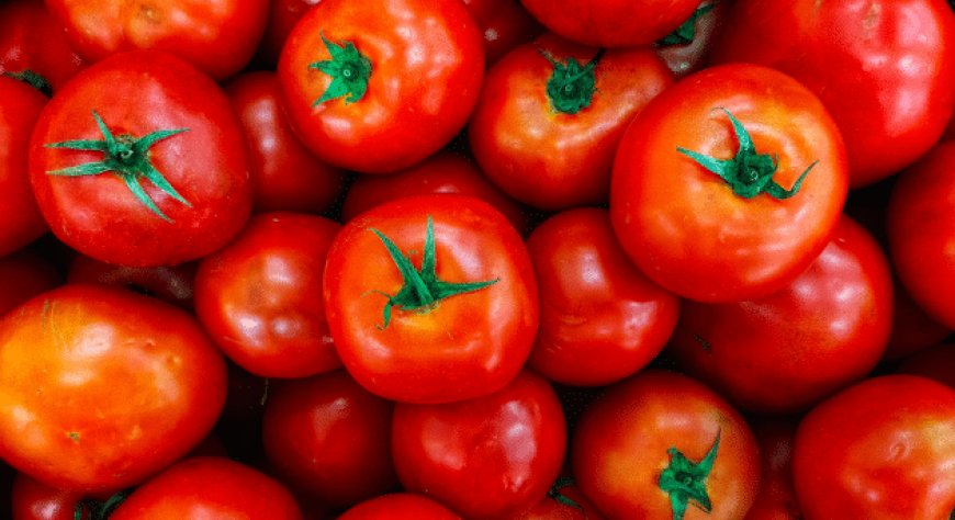 Filiera Italia: bloccare le importazioni di concentrato di pomodoro cinese