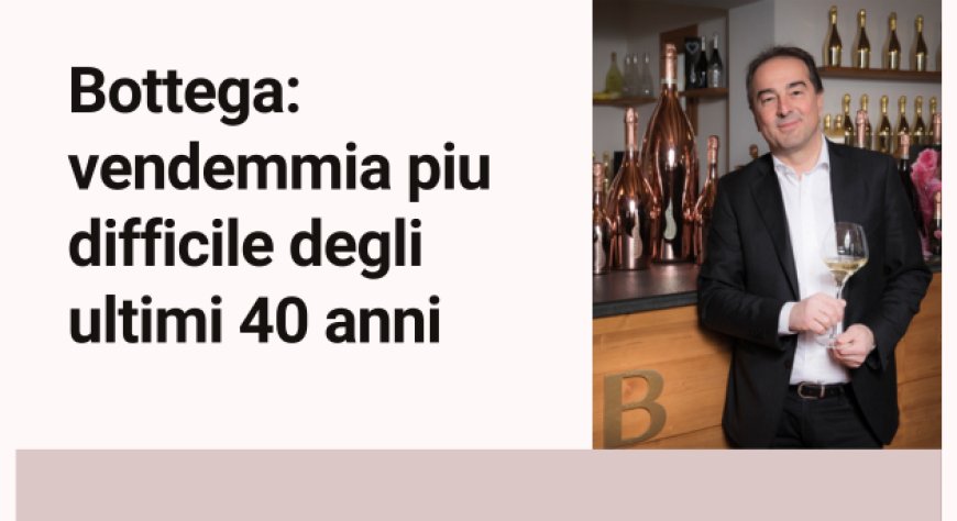 Bottega: vendemmia piu difficile degli ultimi 40 anni