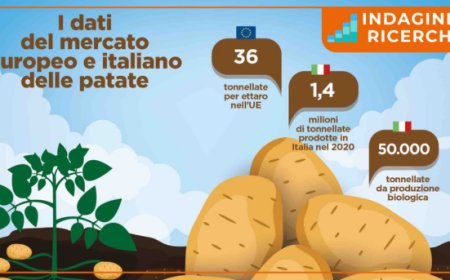 Potatoes Forever! Una ricerca rivela le conoscenze degli italiani in materia di patate