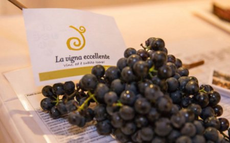 Dal 7 al 10 settembre 2023 - Isera (TN) - La Vigna Eccellente...ed è subito Isera