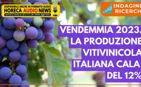 Vendemmia 2023. La produzione vitivinicola italiana cala del 12%