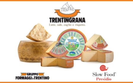 Trentingrana partecipa a Cheese 2023 con i suoi formaggi a latte crudo Presìdi Slow Food