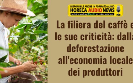 La filiera del caffè e le sue criticità: dalla deforestazione all'economia locale dei produttori