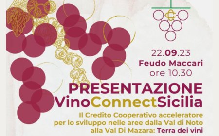 Nasce Vino Connect Sicilia, la crescita della filiera vitivinicola passa dalla cooperazione