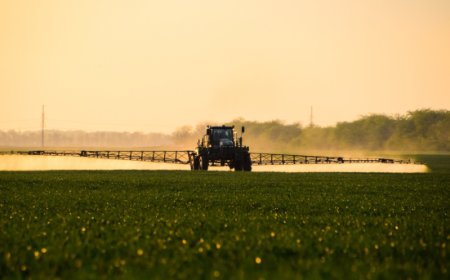 Glifosato, la Commissione Ue propone la proroga fino al 2033