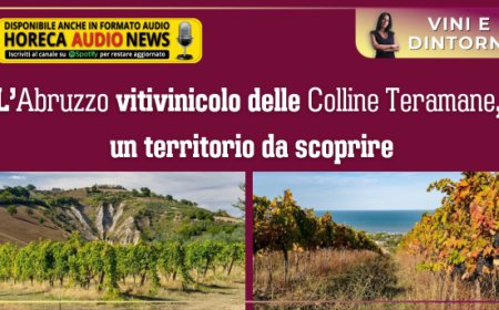 L’Abruzzo vitivinicolo delle Colline Teramane, un territorio da scoprire