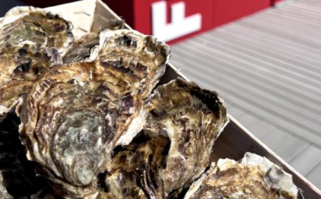 Italian Oyster Fest, il primo festival dedicato all’ostrica italiana