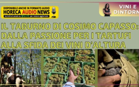 Il Taburno di Cosimo Capasso: dalla passione per i tartufi alla sfida dei vini d’altura