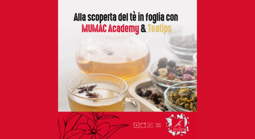 MUMAC Academy e Teatips per un percorso di formazione sul tè  