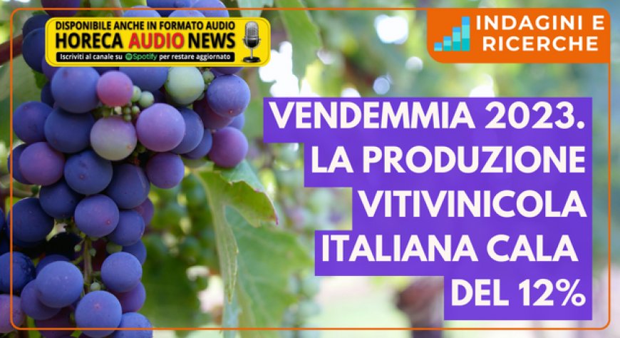 Vendemmia 2023. La produzione vitivinicola italiana cala del 12%