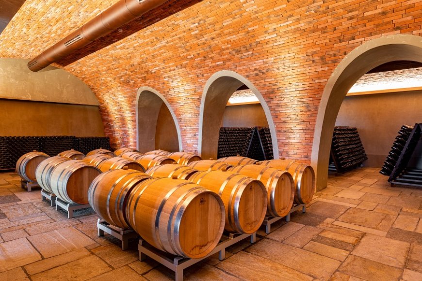 Palazzo di Varignana presenta "Vinum Experience": un'esperienza immersiva nel vino nel cuore dei colli bolognesi