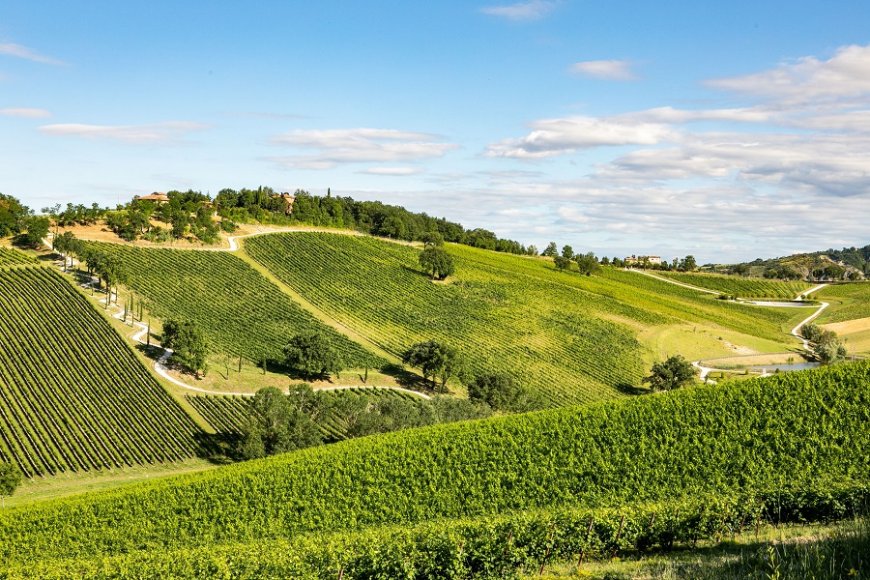 Palazzo di Varignana presenta "Vinum Experience": un'esperienza immersiva nel vino nel cuore dei colli bolognesi