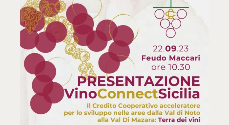 Nasce Vino Connect Sicilia, la crescita della filiera vitivinicola passa dalla cooperazione