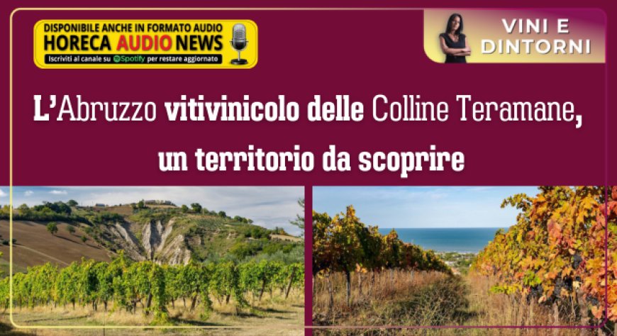 L’Abruzzo vitivinicolo delle Colline Teramane, un territorio da scoprire