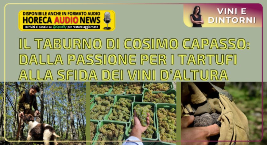 Il Taburno di Cosimo Capasso: dalla passione per i tartufi alla sfida dei vini d’altura