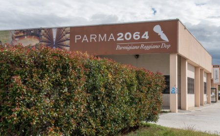 Al via Caseifici Aperti. Parma2064 propone visite guidate a Fidenza (PR)