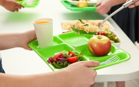 Decreto MASAF: stanziati 5 milioni di euro per le mense scolastiche biologiche