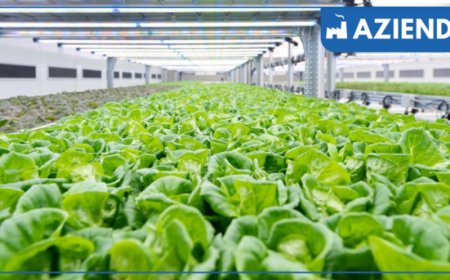 Kilometro Verde inaugura la Vertical Farm più grande d'Europa a Brescia