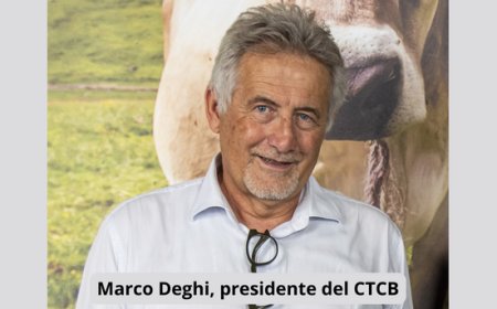 Mostra del Bitto, sono 100 i formaggi in concorso alla  116esima  edizione