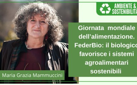 Giornata  mondiale dell’alimentazione. FederBio: il biologico favorisce sistemi agroalimentari sostenibili 