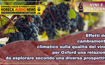 Effetti del cambiamento climatico sulla qualità del vino: per Oxford una relazione da esplorare secondo una diversa prospettiva