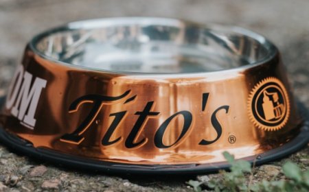 Tito's For Dogs, il progetto di Tito's Vodka a favore degli animali
