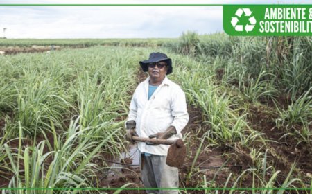 Impatto positivo di Zucchero Fairtrade nelle organizzazioni agricole a Mauritius