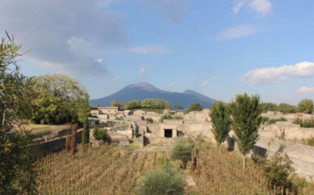 Pùmpaiia, l’olio di Pompei,  riceve il riconoscimento di certificazione IGP Campania.