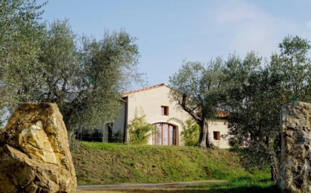 Tenuta Licinia: alla ricerca dei vigneti dimenticati della Valdichiana