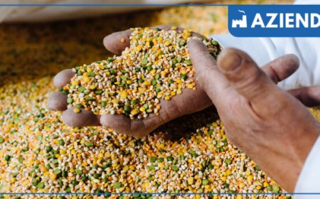 Un messaggio da Legumi Select in occasione della Giornata Mondiale dei Vegani