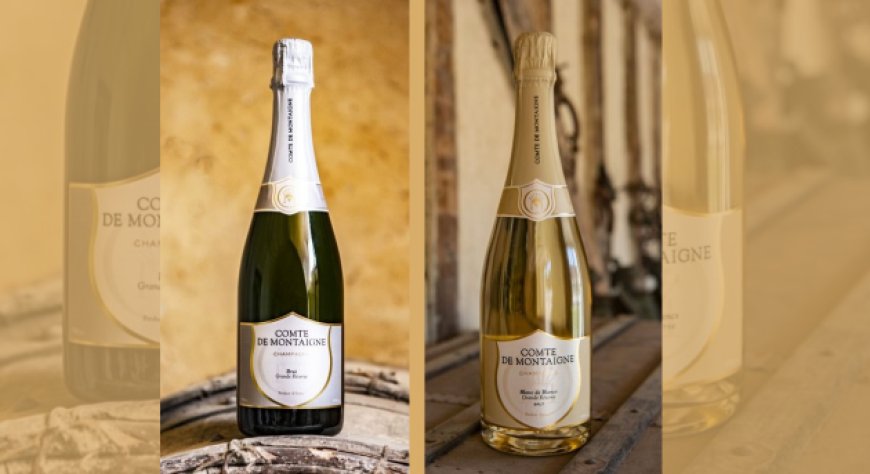 Comte de Montaigne fra i protagonisti di Modena Champagne Experience™