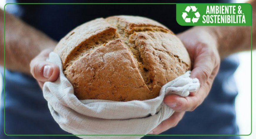 Giornata Mondiale del Pane: i consigli di Too Good To Go per dare una seconda vita al pane