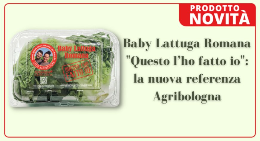Baby Lattuga Romana "Questo l’ho fatto io": la nuova referenza Agribologna
