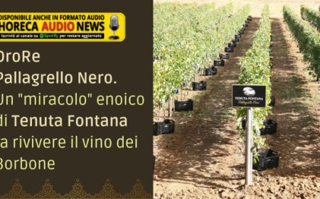 OroRe Pallagrello Nero. Un "miracolo" enoico di Tenuta Fontana fa rivivere il vino dei Borbone
