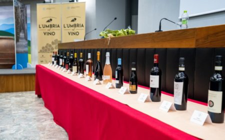 Torna il concorso "L'Umbria del Vino": aperte le iscrizioni per l'edizione 2024