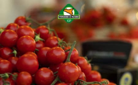Il Pomodoro di Pachino Igp entra nel menù di MCDonald’s