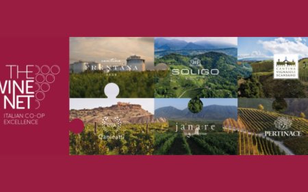 The Wine Net presenta la visione cooperativa del prossimo futuro