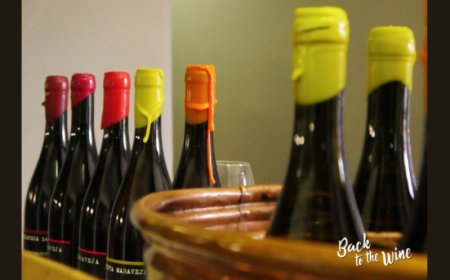 Back To The Wine, torna a Venezia la rassegna dei vini artigianali