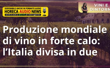Produzione mondiale di vino in forte calo: l’Italia divisa in due