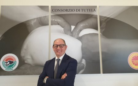 Domenico Raimondo rieletto presidente del Consorzio Mozzarella di Bufala Campana Dop
