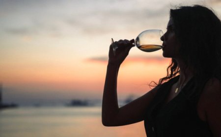 Chiuso con successo Back To The Wine. I vini artigianali salutano Venezia