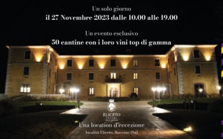 27 novembre 2023 - Eliceto Resort a Buccino (Salerno) - Fuoriprogramma, l'anteprima di Paestum Wine Fest