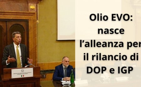 Olio EVO: nasce l’alleanza per il rilancio di DOP e IGP