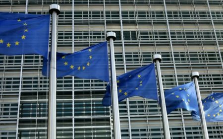 L'Europarlamento approva l'accordo di libero scambio tra UE e Nuova Zelanda