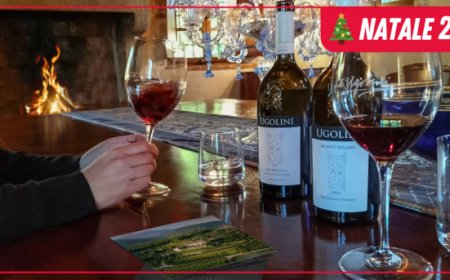 Ugolini Wine Experience, il regalo ideale per tutti gli amanti del vino