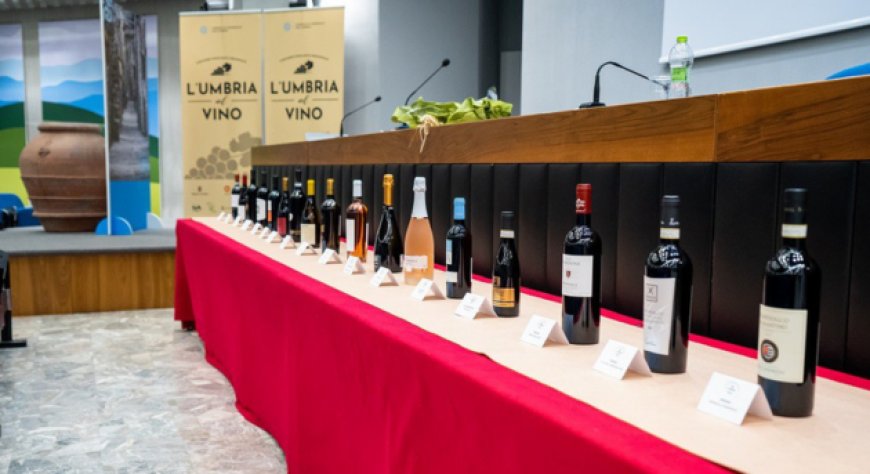 Torna il concorso "L'Umbria del Vino": aperte le iscrizioni per l'edizione 2024