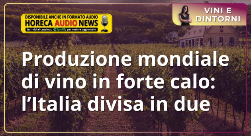 Produzione mondiale di vino in forte calo: l’Italia divisa in due