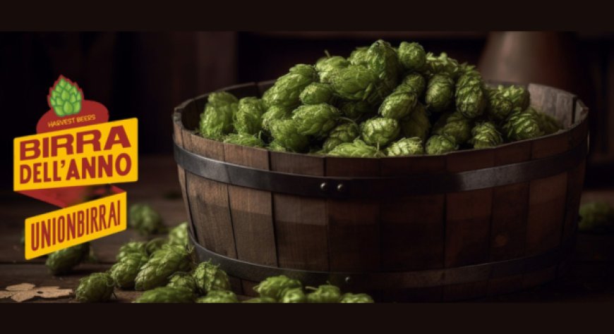 Torna il concorso Birra dell’Anno Harvest Beers