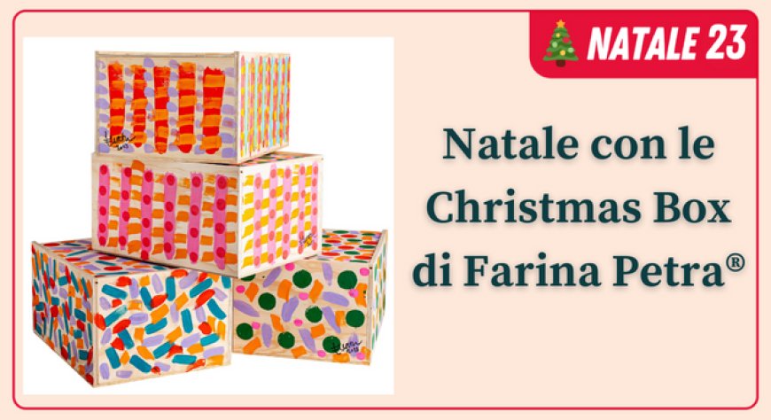 Natale con  le Christmas Box di Farina Petra®